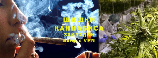 бошки Алексин
