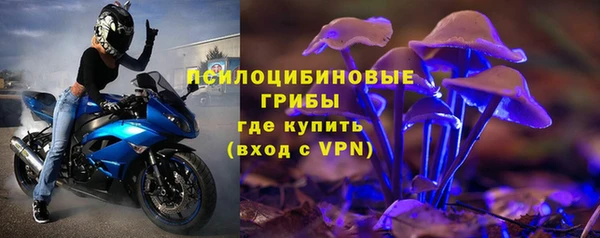 круглые Алзамай